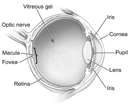 Eye Diagram