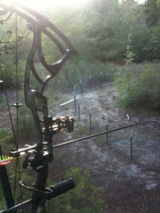 view from Dr. P's treestand